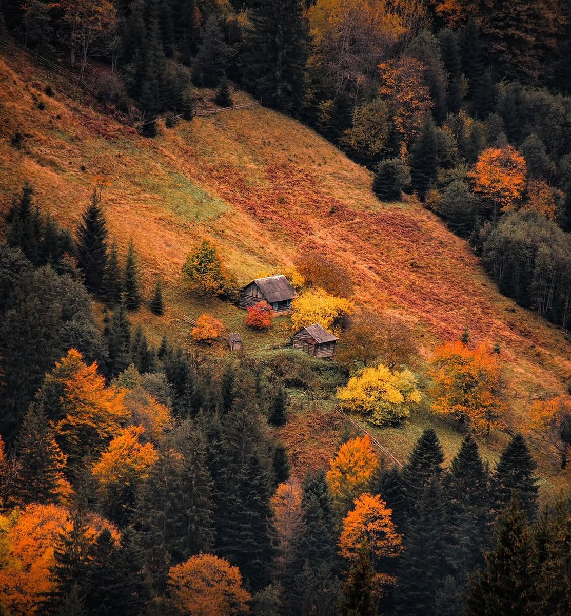 EuromaidanPress's tweet image. This is not Switzerland, not Canada - this is Ukraine, where every season paints the mountains anew.

Autumn ignites the Ukrainian Carpathians. Golden ridges, fiery-red forests, and misty valleys reveal a beauty unlike anywhere else.

Photo: @utah_names