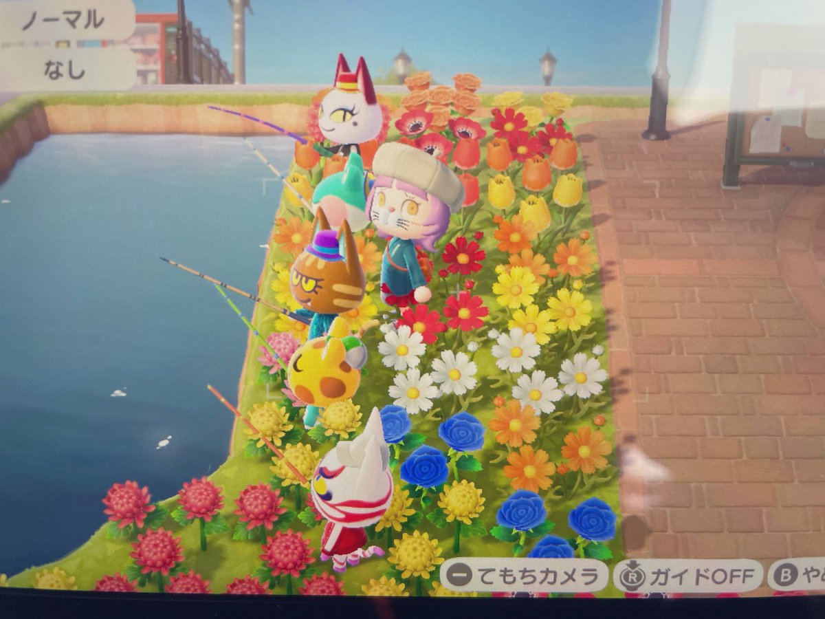 初めてこんな場面目撃したや
🐱
🐸
🐱
🐸
🐱
なのも謎なんよ🙄

#あつ森 #釣り大会