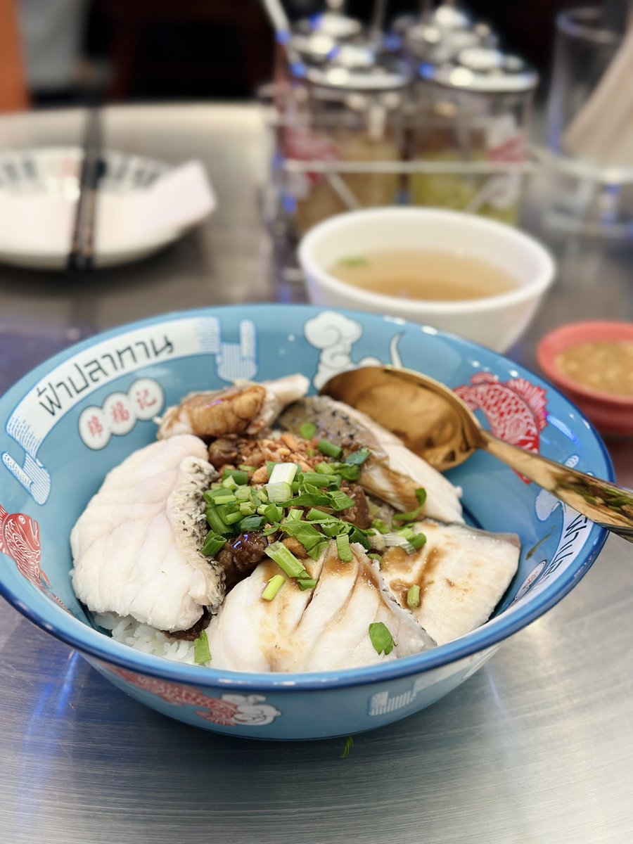 grumpyteddyy's tweet image. กินทุกวันจริงๆ 🐟😇😽
