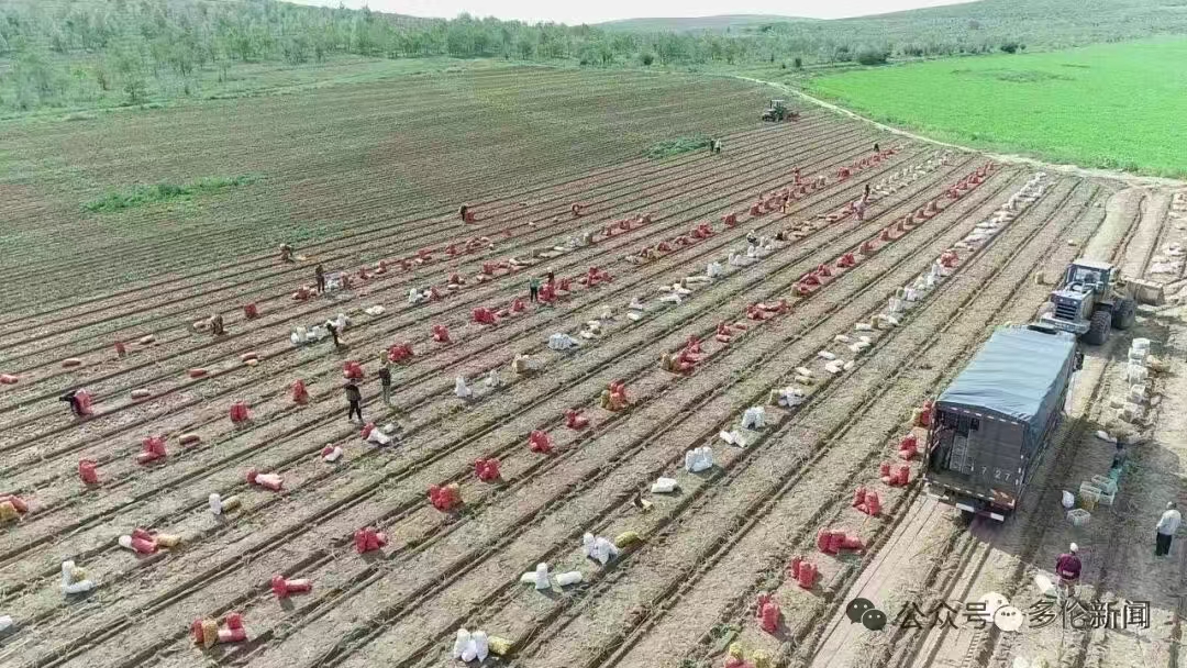 Magnificent Xiliin Gol tweet media