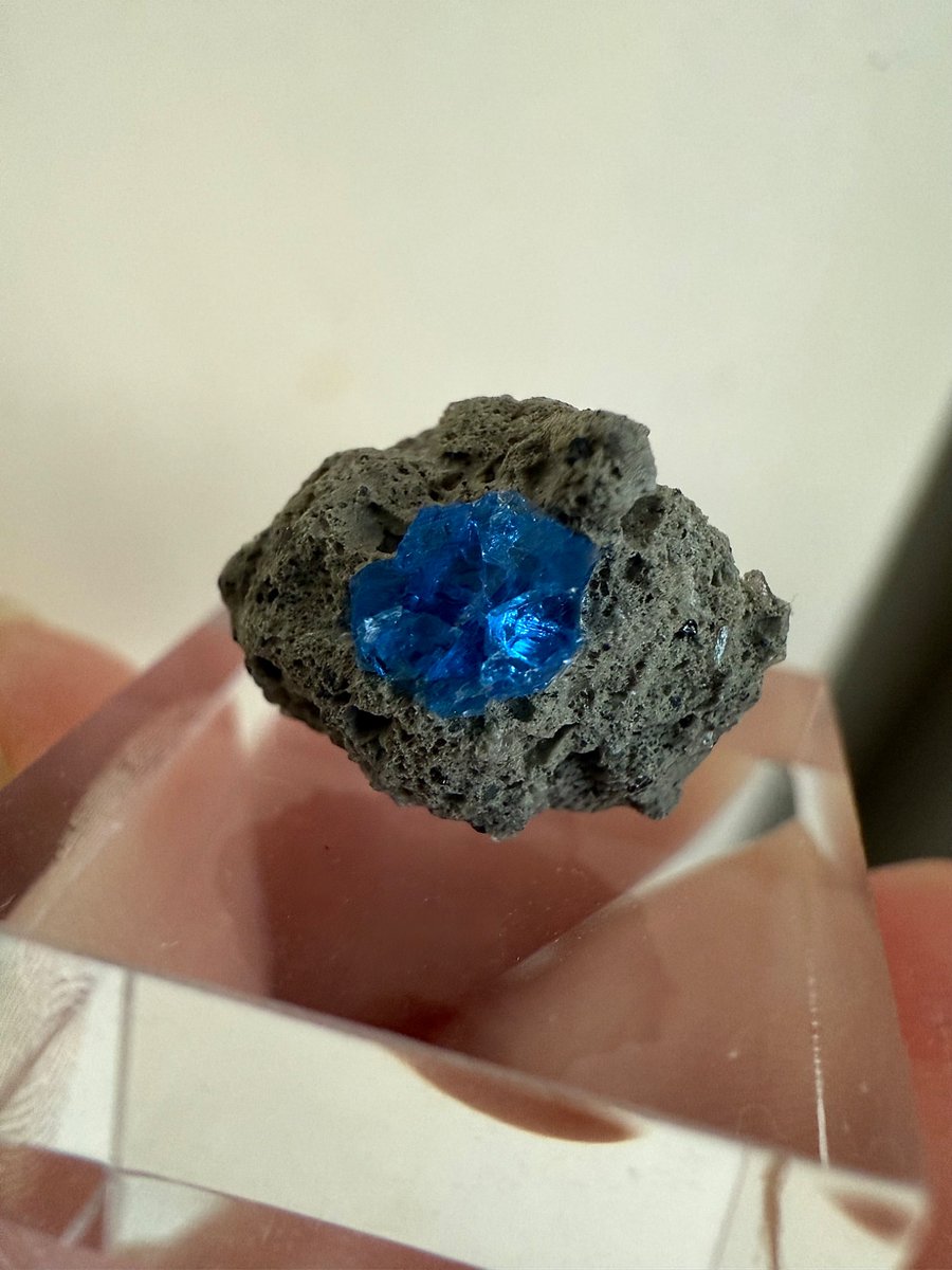 わさび (@Haowasabi_1600) / Posts / X