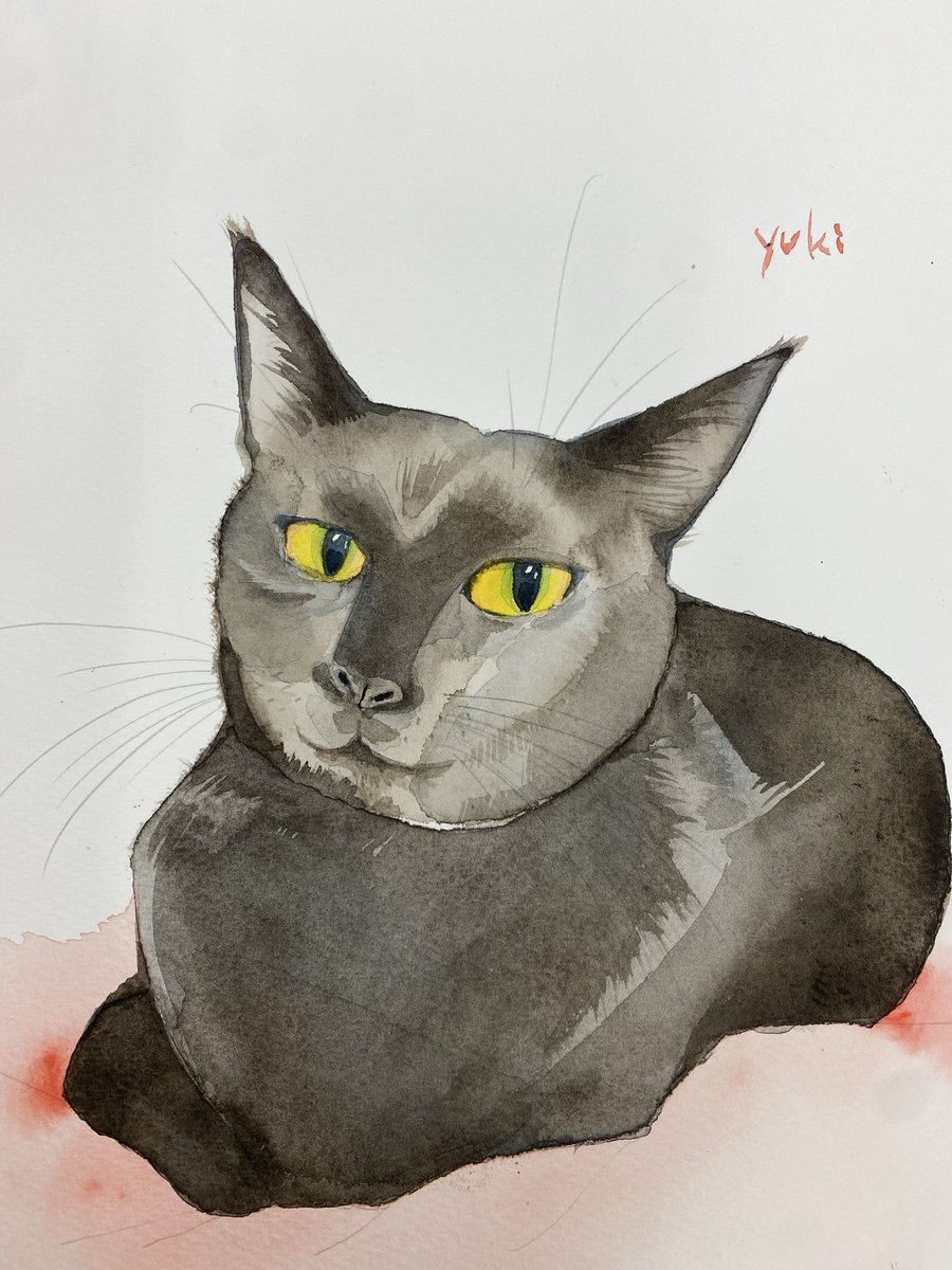 新月ゆき@11/24コミティア on X