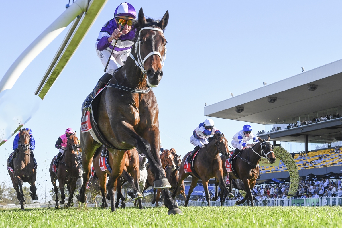 Racing NSW tweet media