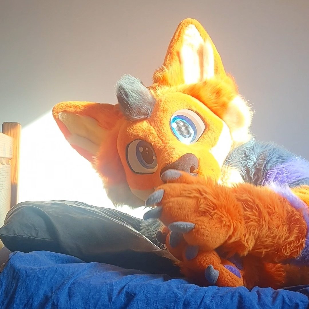 Help j'ai envie d'aller aux toilettes mais je suis tellement bien dans mon lit que flemme de bouger... Ya une solution ? 😭