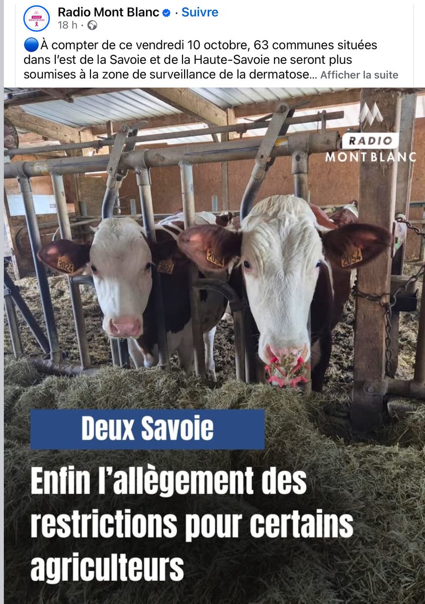 @apcasss tweet media