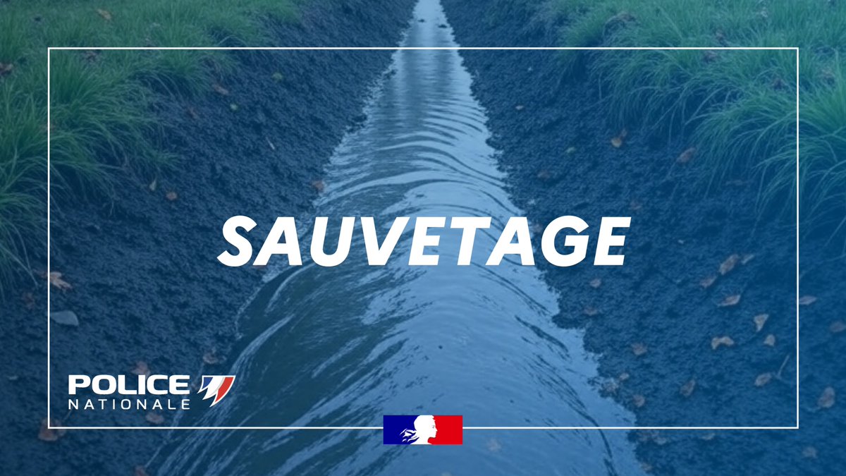 #Sauvetage | 👮‍♂️ Lundi, les #policiers de Metz (57) ont été alertés qu’un homme était sur le point de se noyer dans un étang un proximité. 🥶 La victime, qui avait tenté de mettre fin à ses jours, s’était jetée à l’eau et présentait déjà des signes d’hypothermie. 🛟 Grâce à