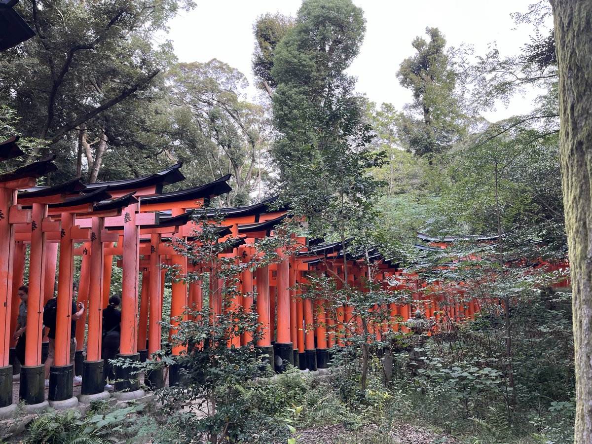 prfm_msk0911's tweet photo. 伏見稲荷 → Nintendo KYOTO → 京都御所と歩き疲れた https://t.co/f9gdyOJdRS