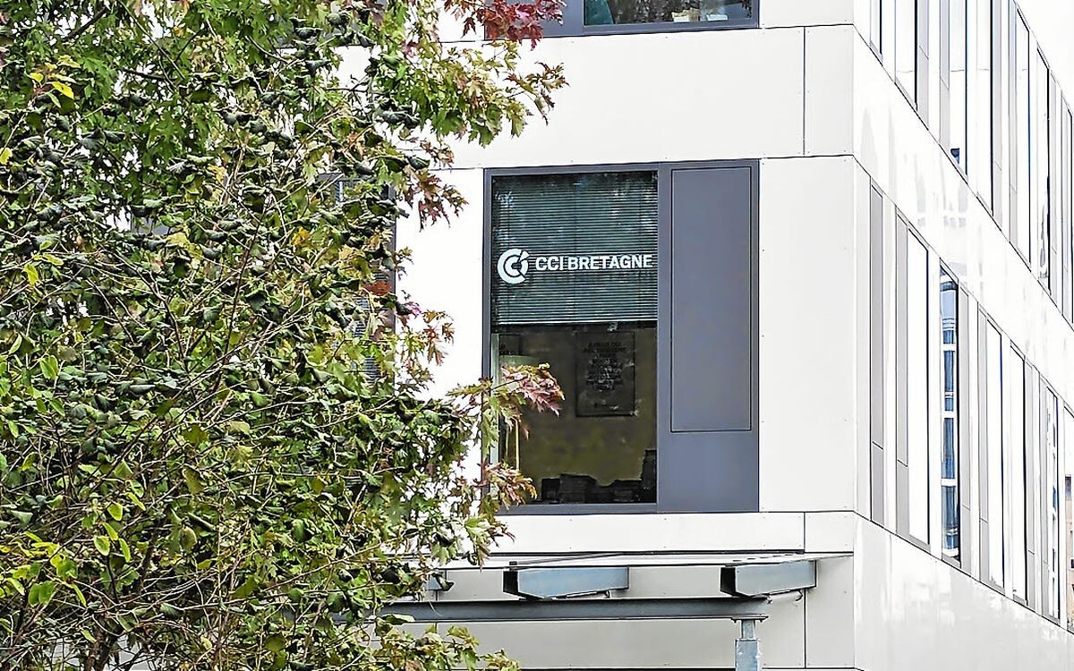 « Une situation préoccupante » : la CCI Bretagne épinglée par plusieurs salariés
➡️ go.letelegramme.fr/NeX3
