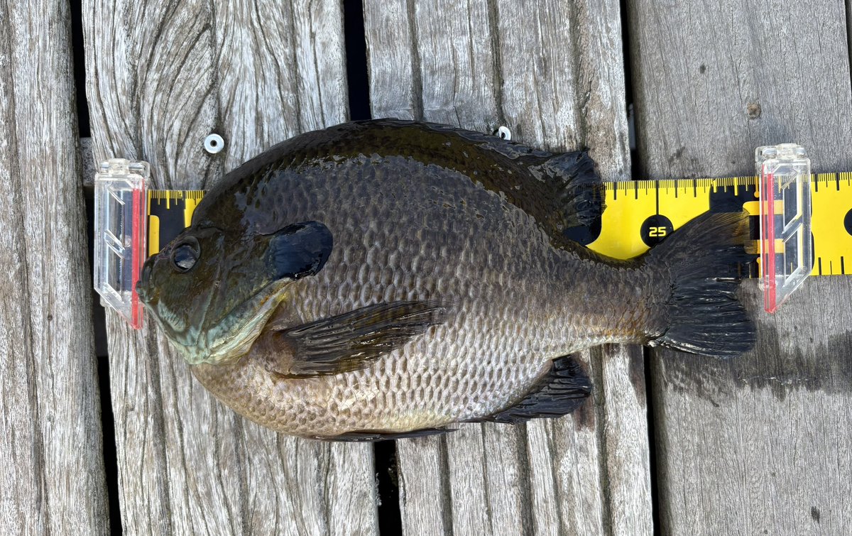 まっちんくん2 (@2lHagkUV7YXJL6Y) / Posts / X