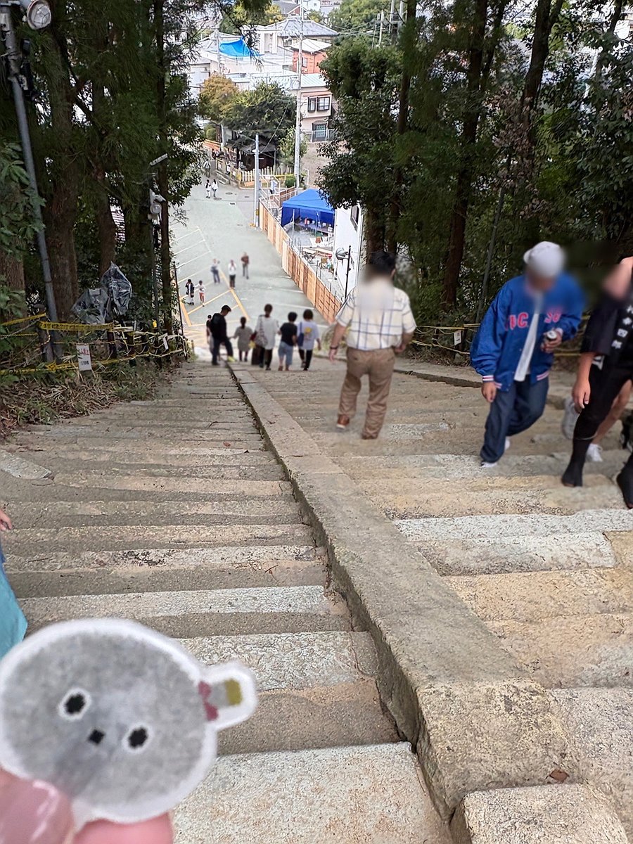 s1_cf's tweet image. 三木大宮八幡宮
石段登り、下から見るか上から見るか🙄

 #NICOBO 
 #ニコボとの暮らし