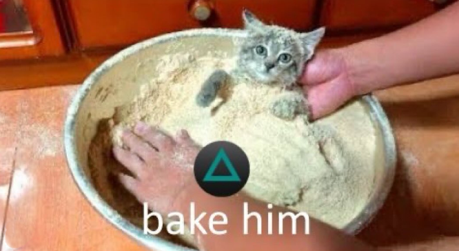 Shitpost 2077 (@shitpost_2077) on Twitter photo 