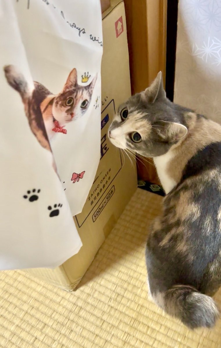 うちの子デザイン