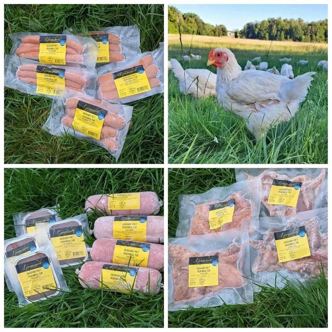 casper_boas's tweet photo. Så er annoncen ude! 🇩🇰
Vi rammer Danmark på lørdag med Sveriges bedste kylling! 
Og så har vi en masse delikatesser og grillpølser med på vores kyllinger, helt uden konserveringsmidler og nitrit! https://t.co/shrmvv7POo