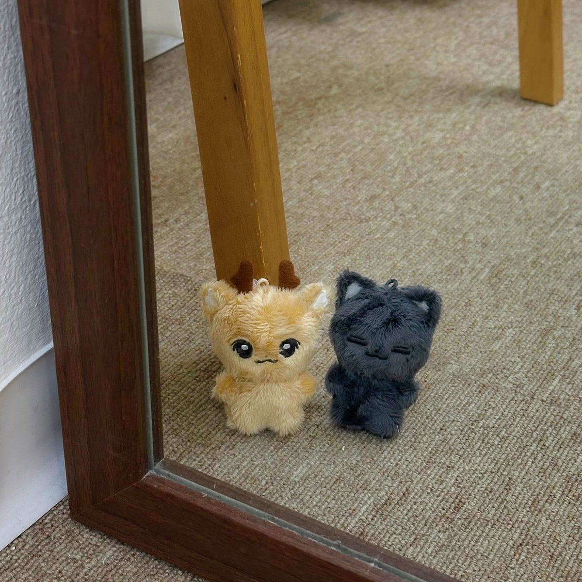 밤비열&키티묭 tweet media