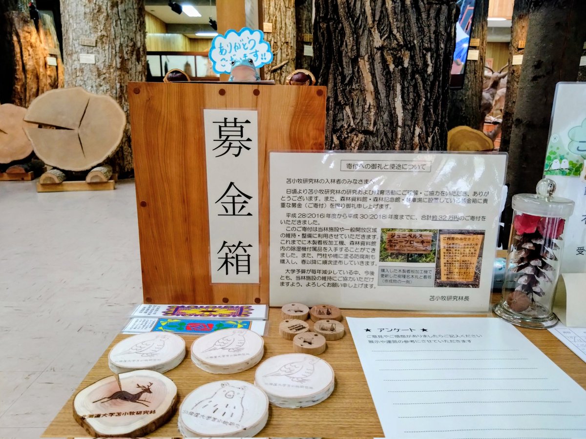 tmk_exforest's tweet image. 本日も沢山の方に来て頂いた
森林資料館·記念館です🌾
募金もありがとうございます。
スタッフがいない時でも
ノベルティのコースター持っていって下さいね!
ほっこりするメッセージを書いて
置いていってくれた方
沢山の募金ありがとうございました。
とちの実ありましたか?
#苫小牧研究林