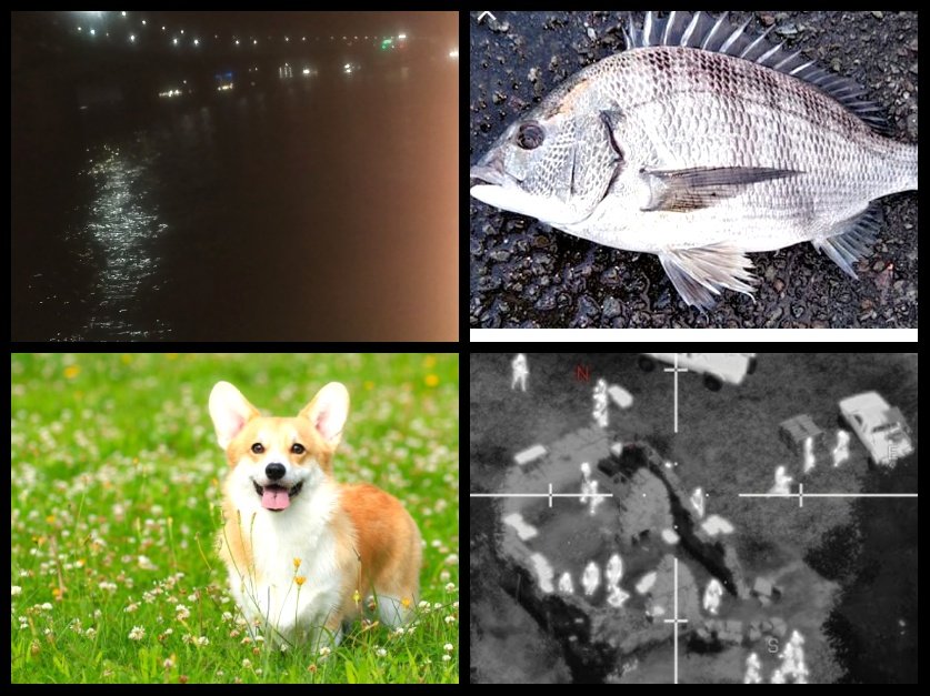 #鎮守府生活｢竿､そっ閉じ｣
サビキ針にも､針隠しのボンゴレが付いているのだが…

クロダイは仕掛けを投げる度に､潜ってサビキ針を確認…

( ・∀・)ﾉ…これは針付いてるからダメ
付いてないヤツ投げろ

仕方なく3つ程投げてみると､即食い
司令( ;-д-)…｡←釣意喪失

…この日はお開きとなったw