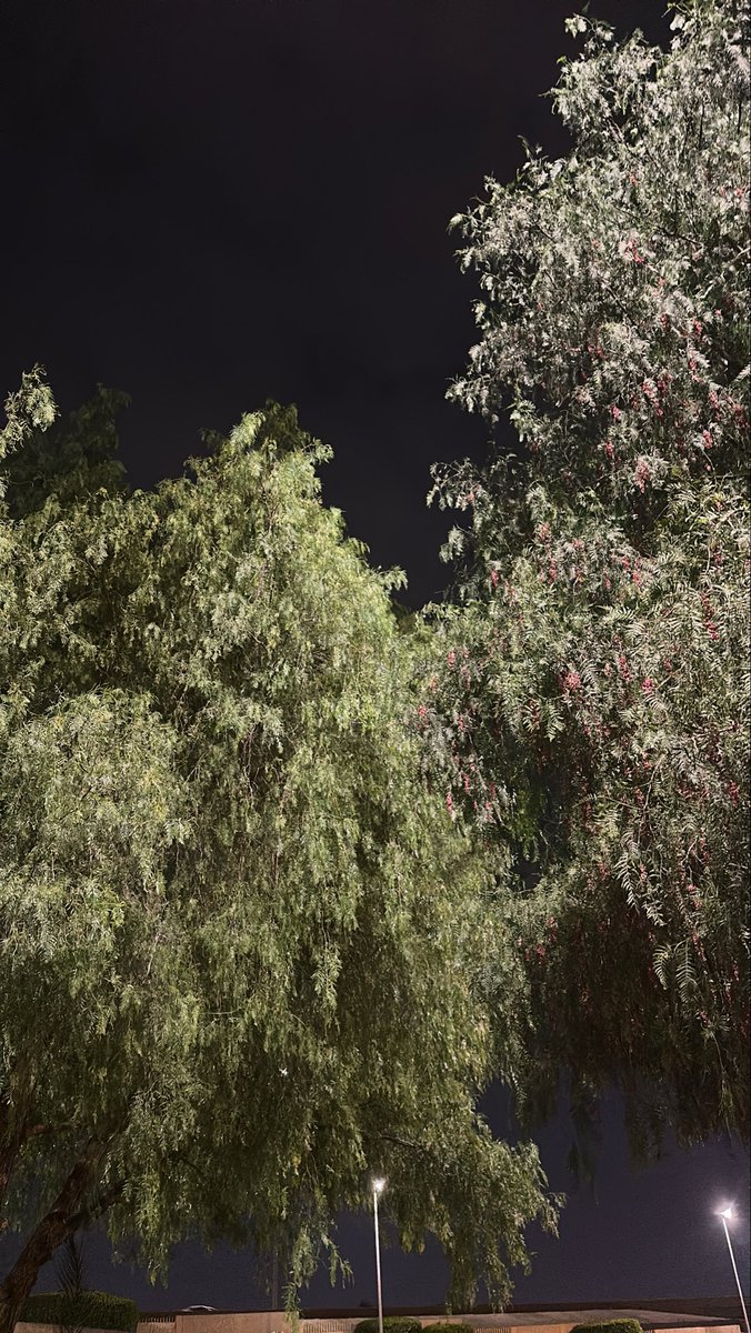 قبل انسى
أنا خايف إذا طال الغياب 
وضحكتك أقسى 
متى وعدك ؟
أنا موج الحزن بعدك
تعبت و ما لقيت إلّا ! 
زوايا الذاكرة مرسى "