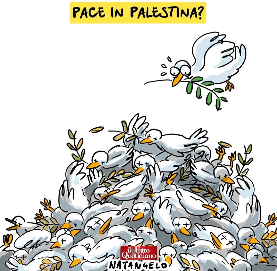 Arriva la pace - la mia vignetta per la prima pagina de Il Fatto Quotidiano oggi in edicola

#israele #hamas #gaza #pace #vignetta #fumetto #satira #ilfattoquotidiano #natangelo