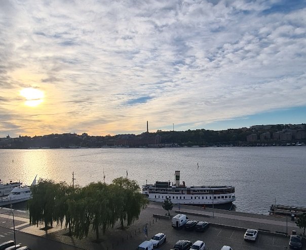 Birgitta Jonsson tweet media