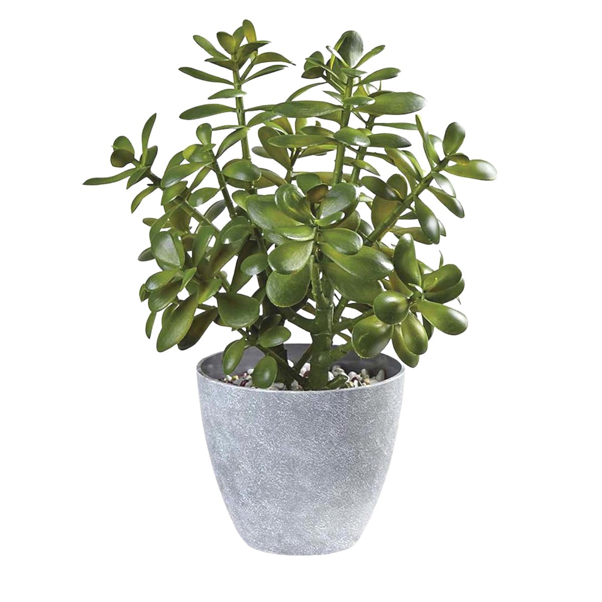 ProRoomDecors's tweet image. Westcharm 16 in. Potted Faux Jade Plant Home Décor | Artificial Crassula Ovata Succulent Money Tree in Melamine Pot | Fake Greenery for Office, Home, Kitchen, Bathroom, Bookshelf
Rating ⭐ : 4.9
Check Amazon price >> 🔗 : amzn.to/42bnmXx