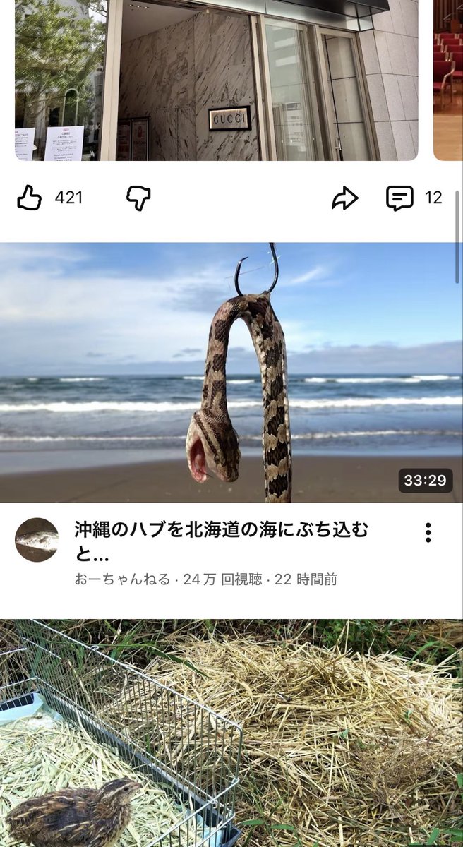 randof_pw4's tweet image. こんなに簡単な文章なのに意味が分からない事ってある？
#おーちゃんねる