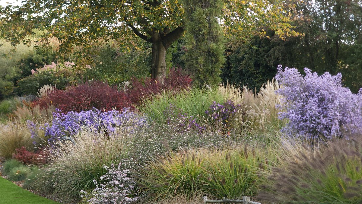 8 acres of loveliness. John's Garden at Ashwood is open today and every Saturday for charity. For more info, please see <a href="/ashnurs/">Ashwood Nurseries</a> website. 
<a href="/JohnsGardenAsh/">John's Garden</a>