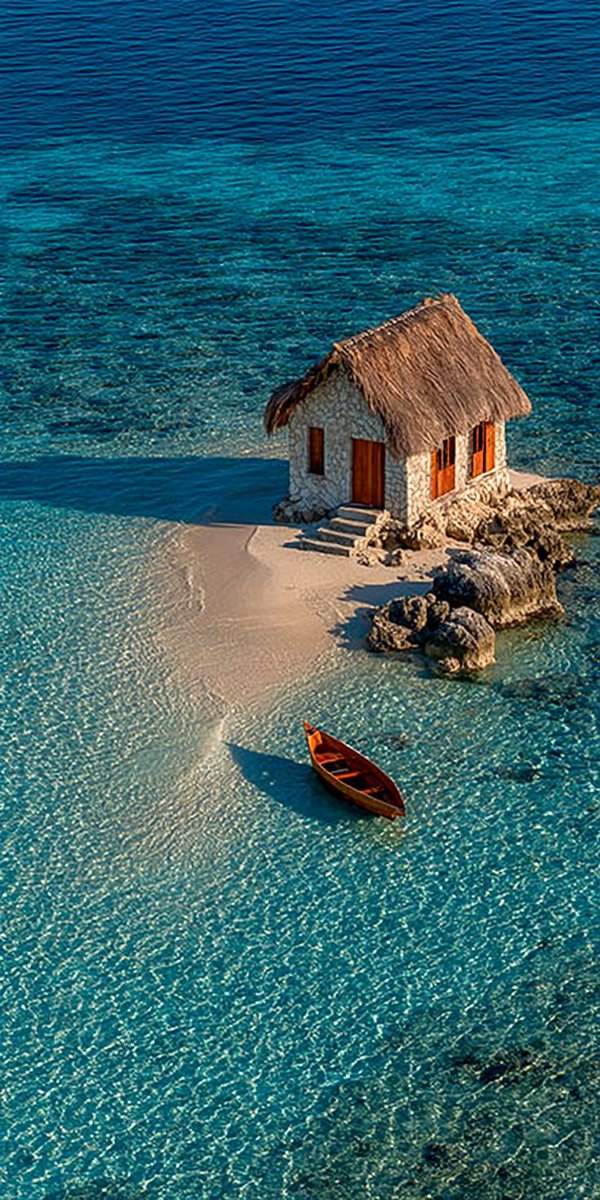 OceanBeauty💦 (@oceanvibes79) on Twitter photo 