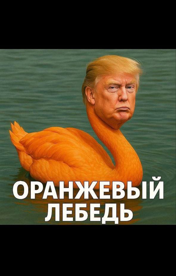 annapuzanova (@annapuzanova1) on Twitter photo 