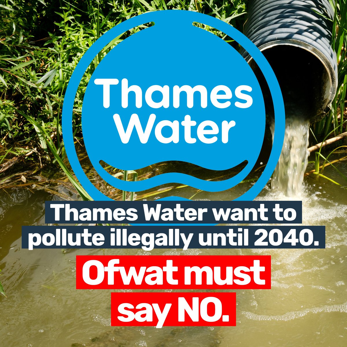 Unbelievable - Thames Water wants to pollute ILLEGALLY for the next 15 years

If they get away with this, other water companies will copy

If you don't want sewage until 2040 (!) please sign our petition to <a href="/Ofwat/">Ofwat</a>, we'll be handing it in on 21st October

👉weownit.org.uk/act-now/petiti…