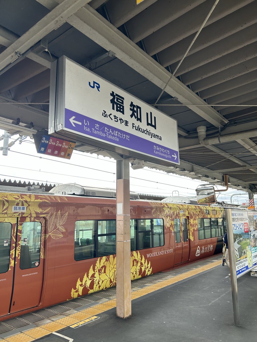 #森の京都QRトレイン
に乗ってきた。