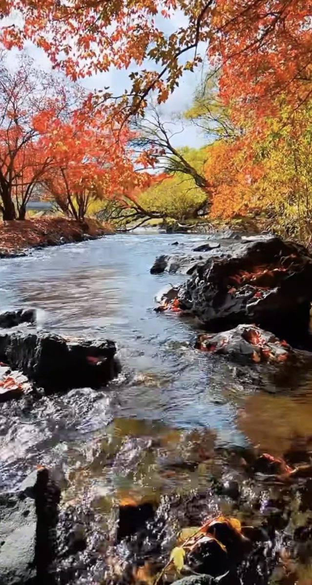 atapasha7's tweet image. G🥰M   Beautiful😍Saturday🍁