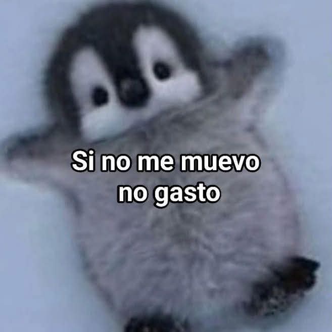 Yo últimamente