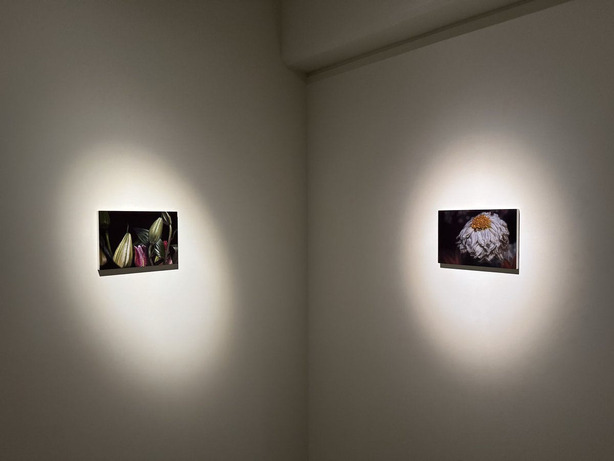 熊谷亜莉沙「天国泥棒」at ギャラリー小柳 10月11日まで