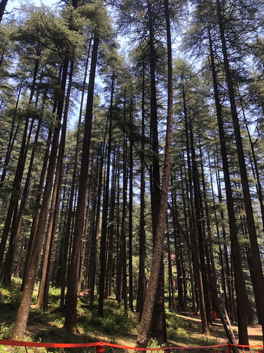 arun_k_pathak's tweet photo. @earthcurated @CrispeThe https://t.co/cGnCrcQ4eL