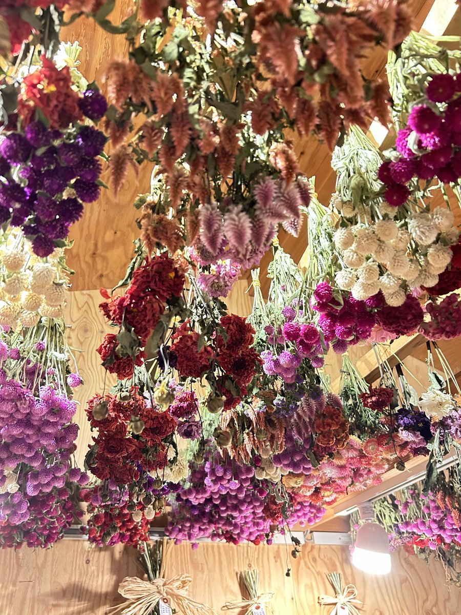 ドライフラワー