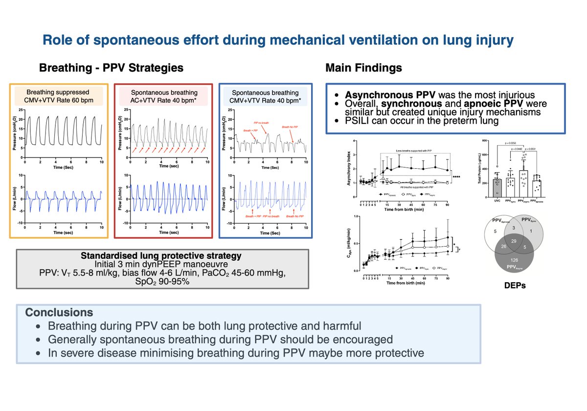 David Tingay tweet media