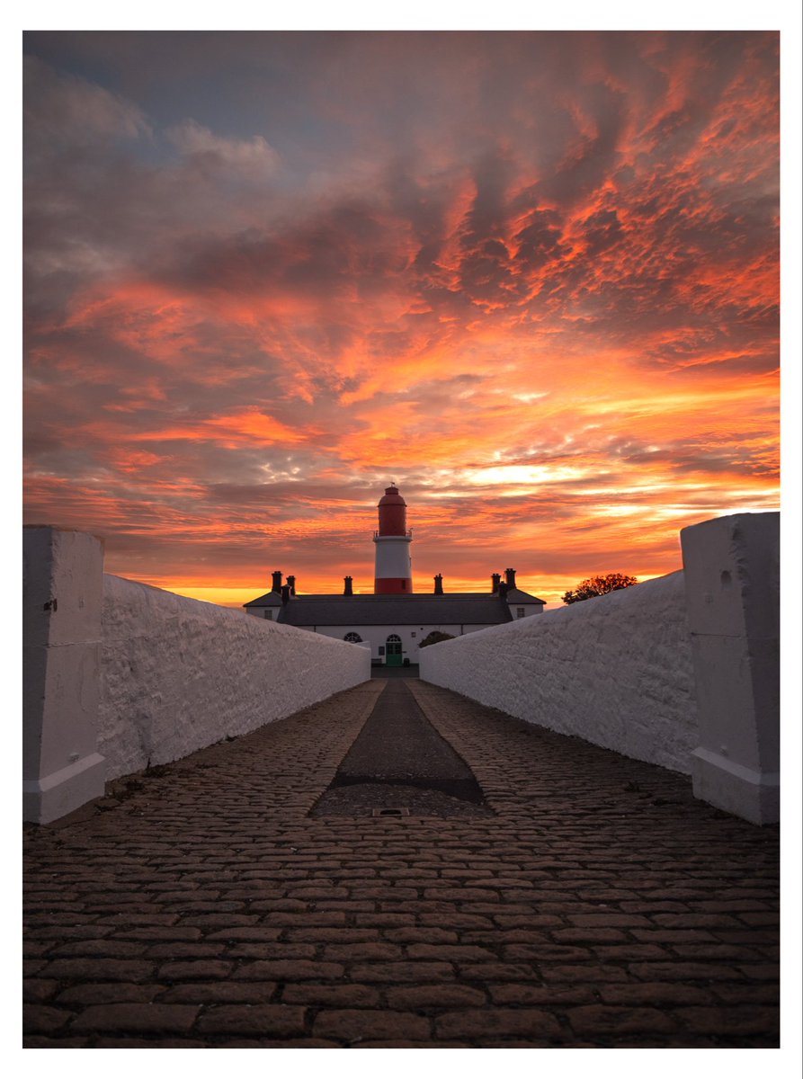 Steven Lomas tweet media