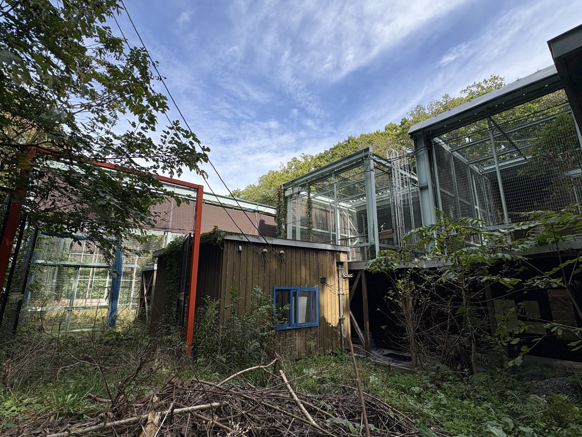 札幌市円山動物園（公式） on X