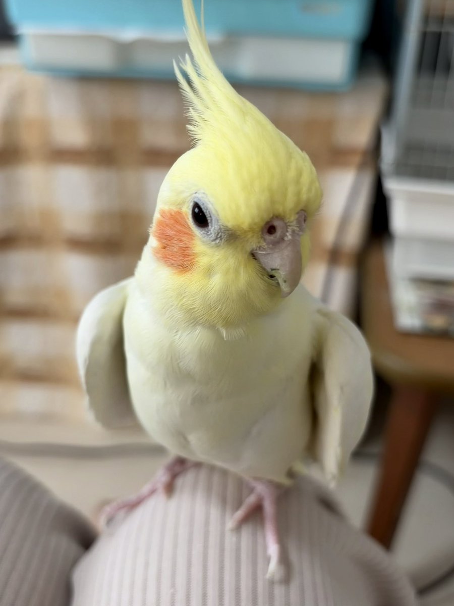 店長 (@toru2929) / Posts / X