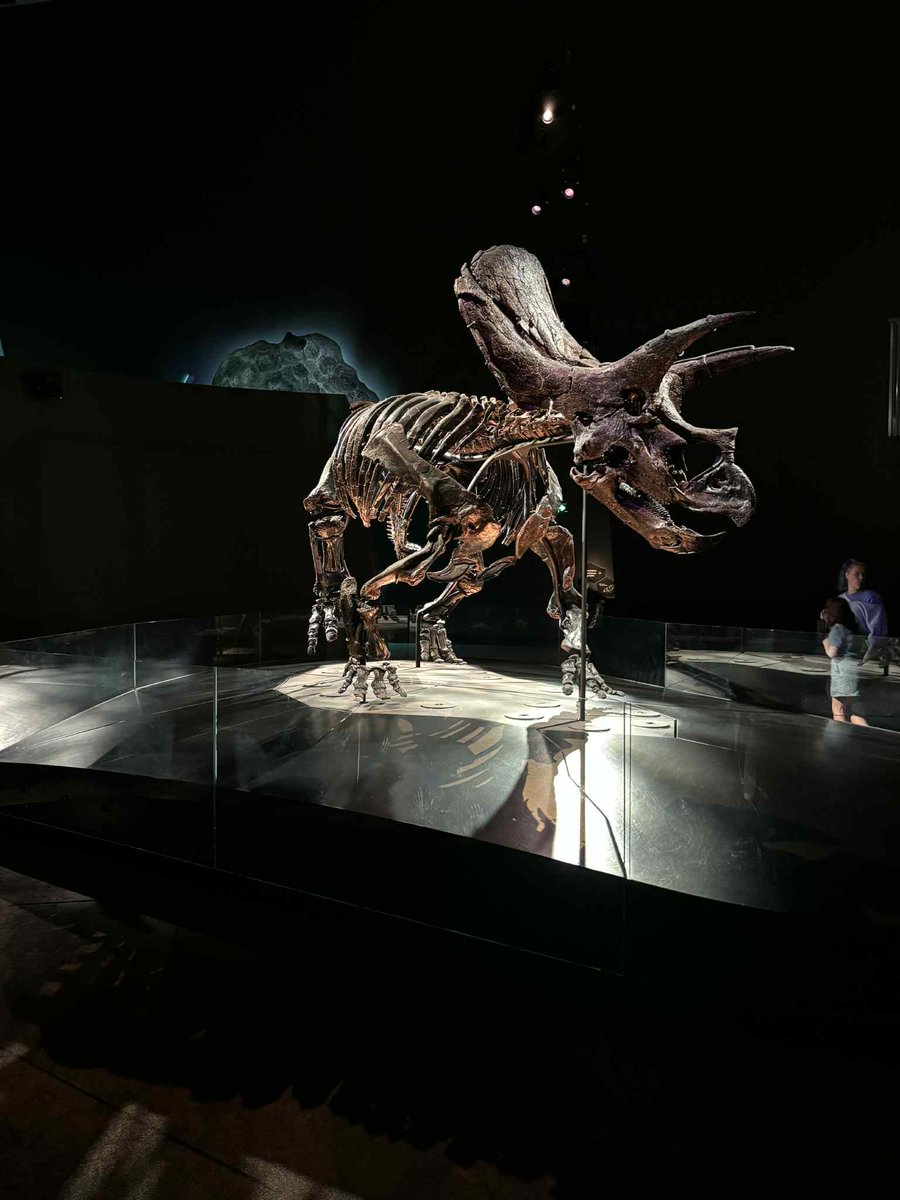 Day 2 of PAX AUS 2025 was actually spent with my family, making the most of our trip to Melbourne.

Aquarium, then the Museum to see the LEGO Star Wars exhibit and some Dino's!

See you all at PAX tomorrow morning ahead of the R6 Creator Showmatch!