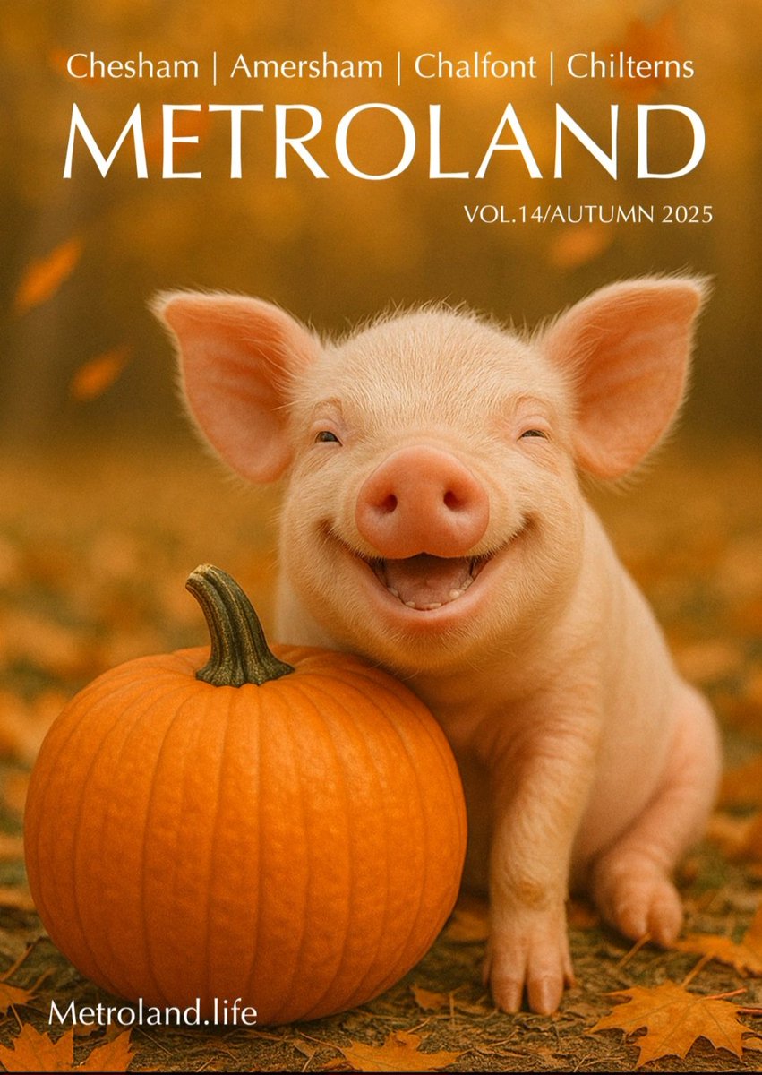 ✨ New Issue Out Now - Read Metroland Magazine! ✨

🔗 Head over to metroland.life/read-metroland… to read the issue in full.

#MetrolandMagazine #ReadMetroland #ShopLocal #CommunityStories #Chesham #Amersham #Chalfonts #Chilterns