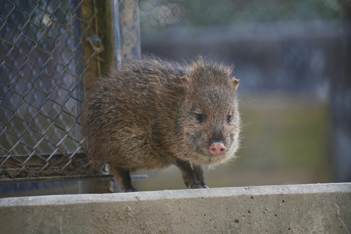 어떤분께서 공계가없다고 dm으로보내주심
근데 진짜 차림새가 궁금한이야기y에 나올거같애서 어이가없음
길에서 이런사람만나면 무조건 피함