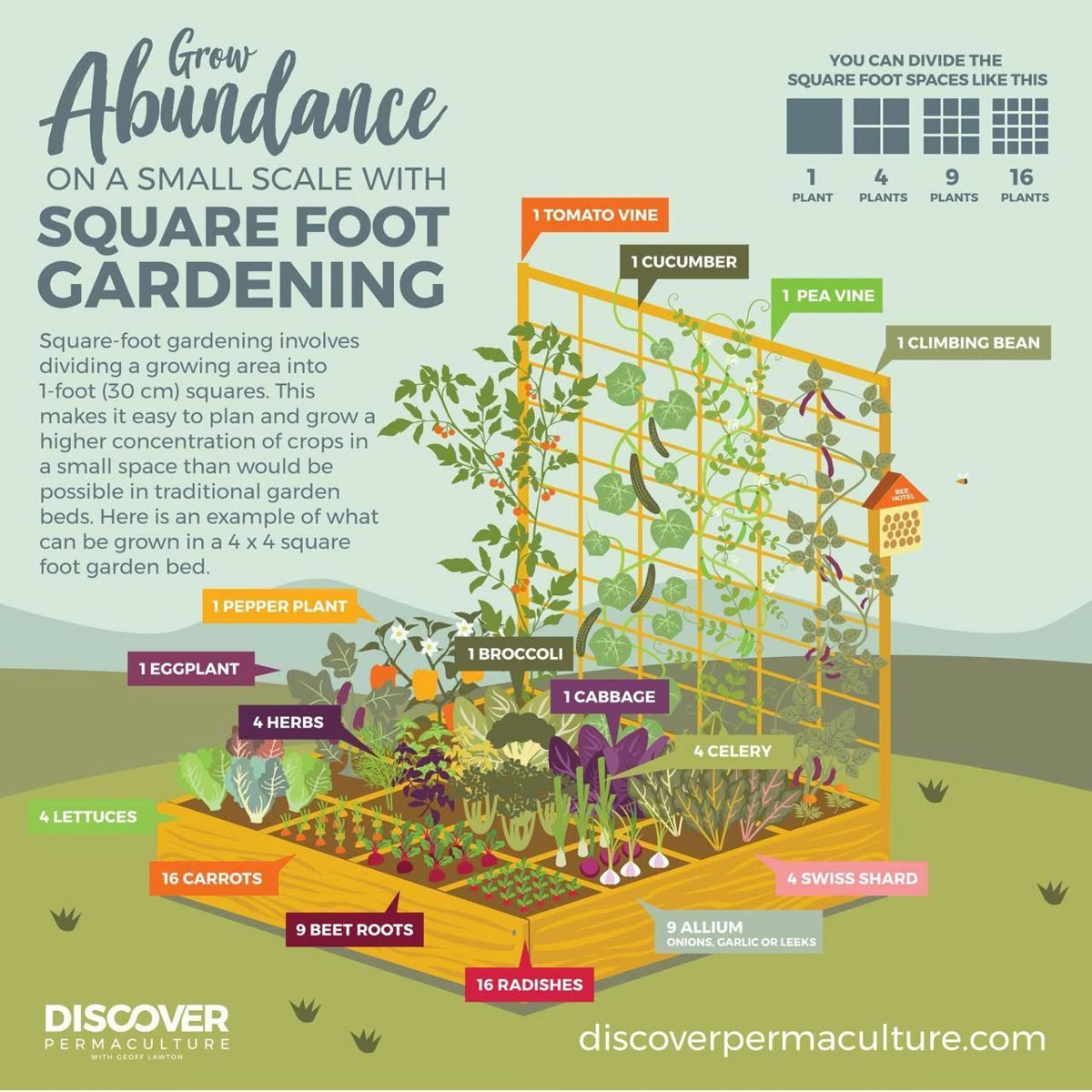 How to grow Abundance on a small scale with square Foot gardening tips it involves it easy to plan and grow a higher concentration of crops in a small space that would be possible
#SmallSpaceGardening #GrowYourOwn