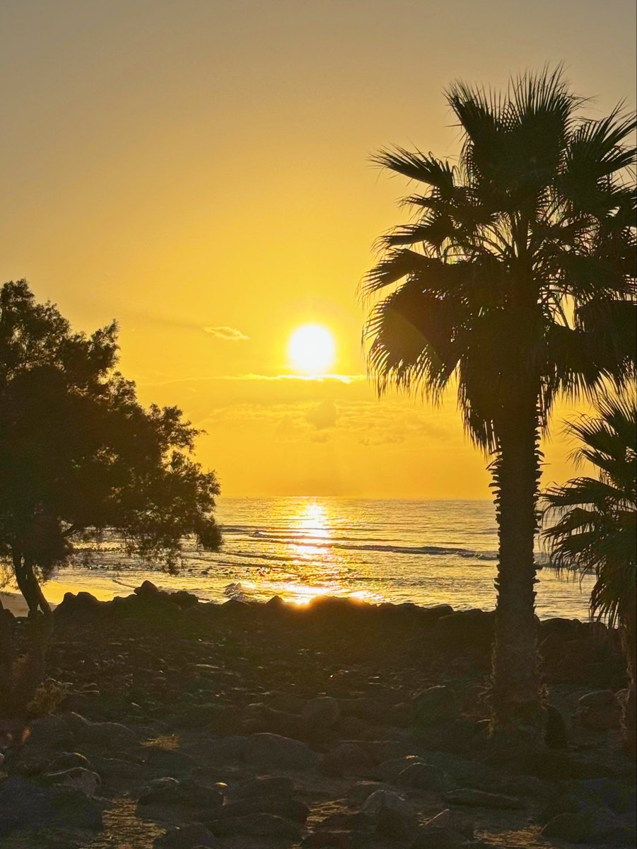 mycanaryislands's tweet image. 29 degrees today and enjoy it.
#sunrise #weekend #saturday #sabado #playa #beach #maspalomas #grancanaria #canarias #españa #fblifestyle