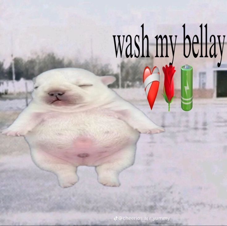 🕐HOURLY🕑 shitpost (@hourly_shitpost) on Twitter photo 