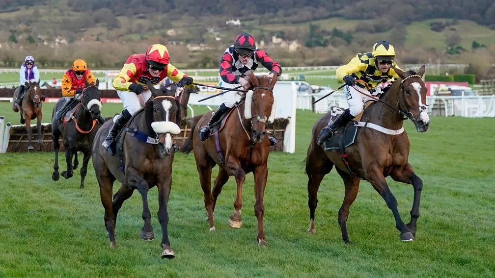 Saturday Tips Posted! 📝

3/1 Winning NAP Yesterday and we have Another 3/1 NAP Today! 🚀

Jumps racing at :

🇬🇧 Chepstow
🇬🇧 Hexham
🇮🇪 Fairyhouse

Use code : October for 20% OFF ⬇️

patreon.com/FinnDogTips