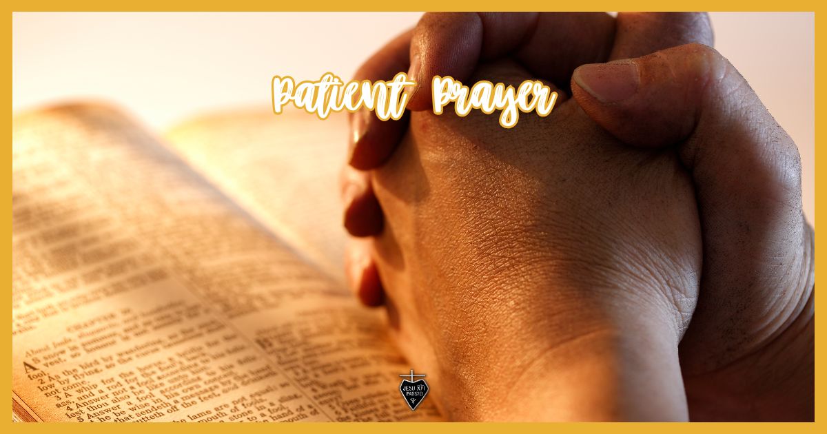 Join us in prayer this Sunday. Watch the Holy Mass online and be part of our faith community: thesundaymass.org

#TheSundayMass #HolyMass