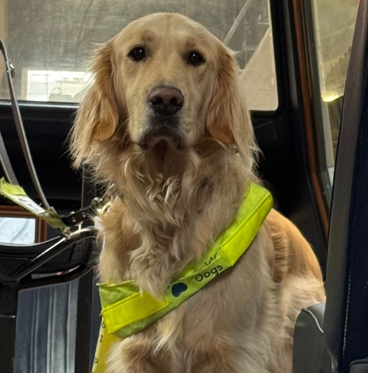 chorleyguidedog's tweet image. Rupert will be helping with our collection at Tesco Chorley today, please pop along and say hello!

#Chorley #GuideDogsUK #GuideDogs #GuideDogsForTheBlind