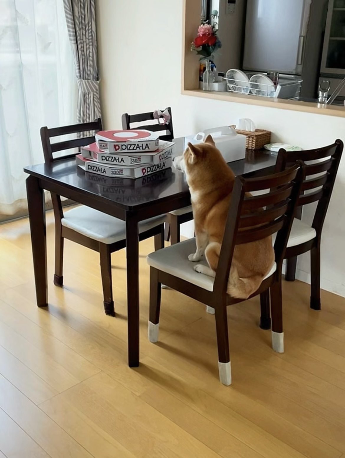 ムササビ2号 (@MUSASABI2go) / X