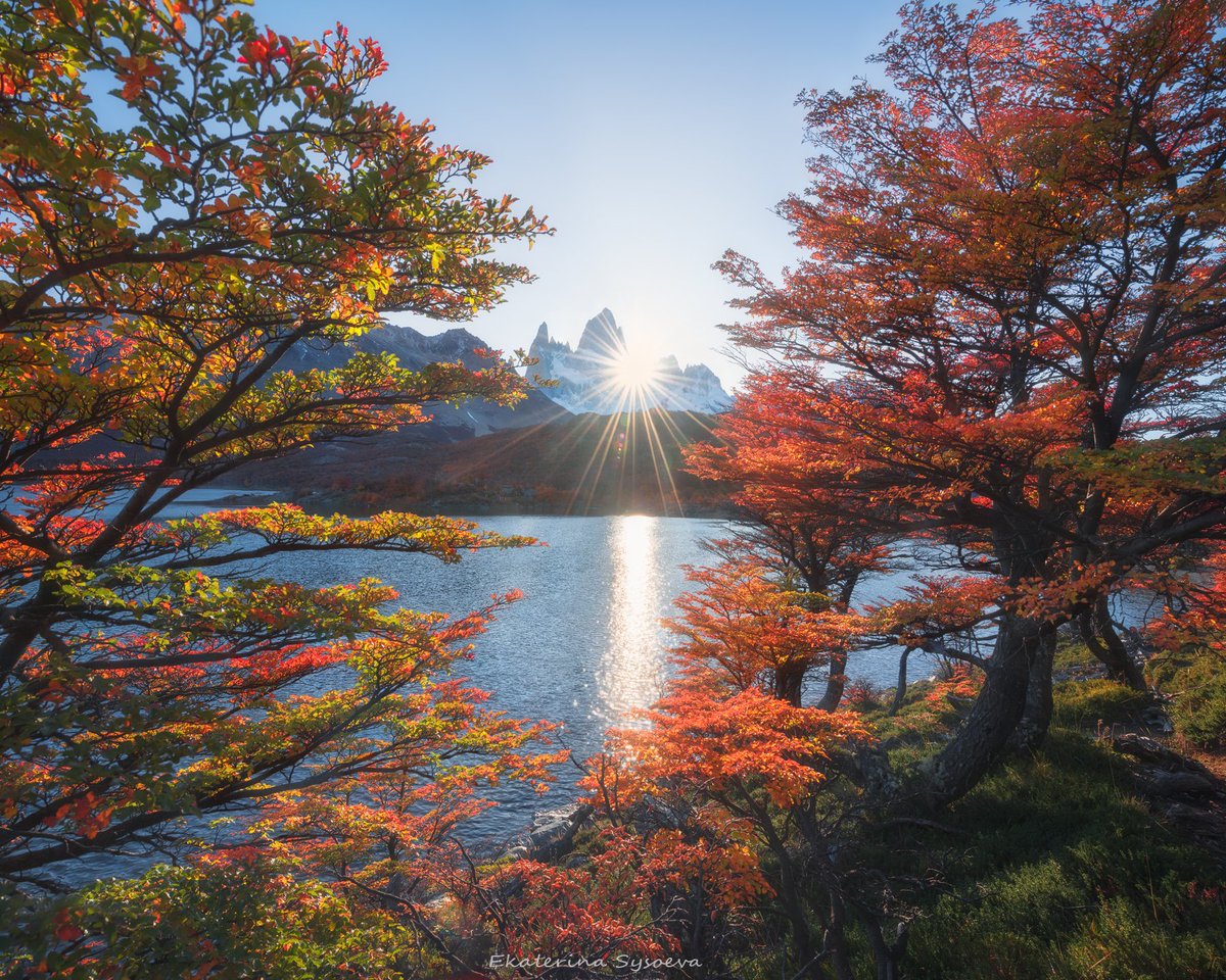 sun (@sun1358481) on Twitter photo 